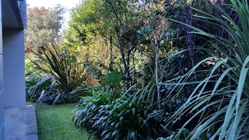 Standard Studio | Garden