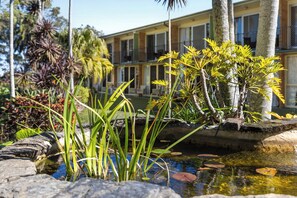 Garden - Motel Miramar (Nambucca Heads)