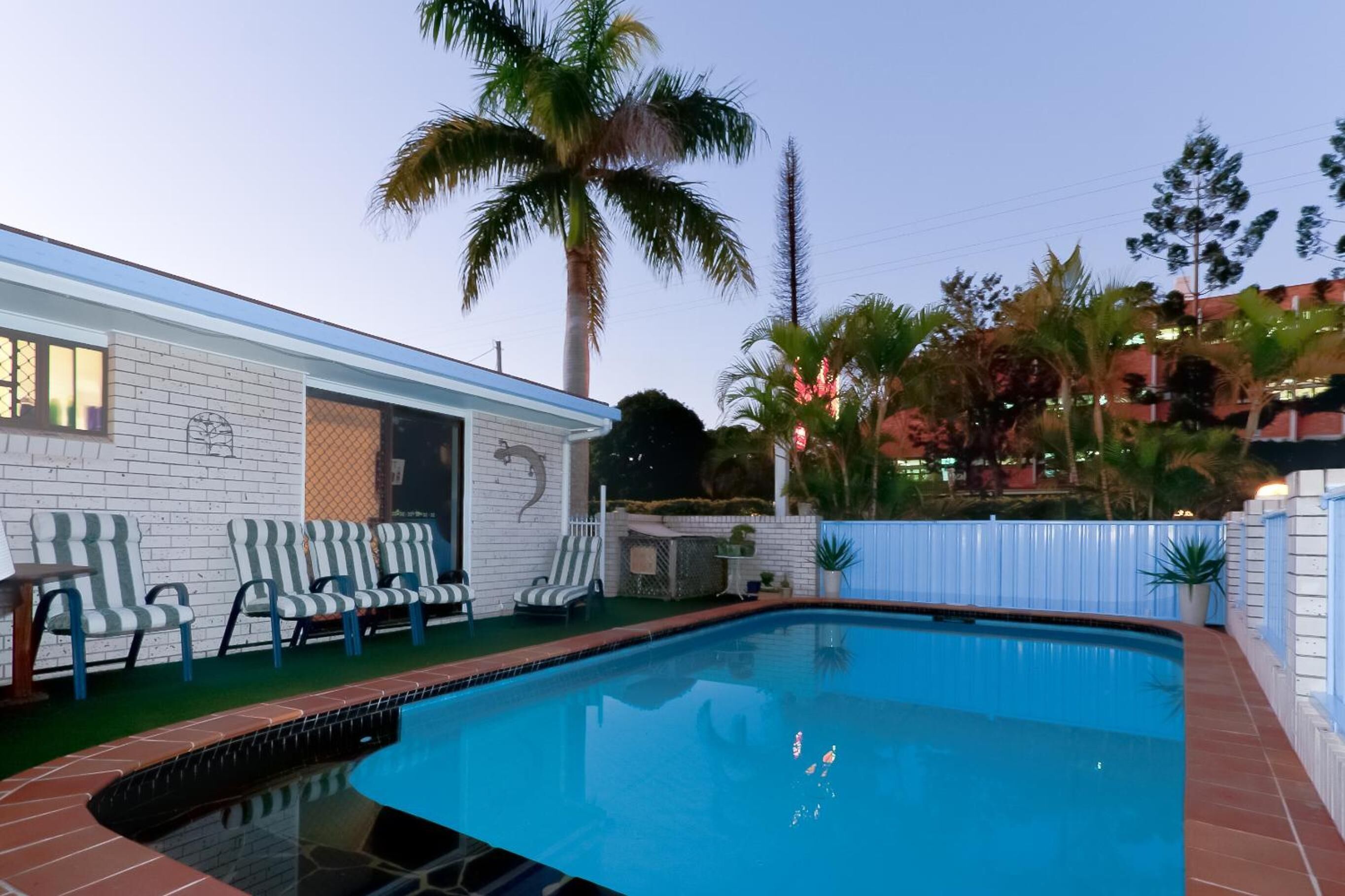 A swimming pool with lounge chairs and a palm tree.