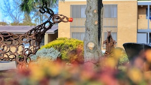 Una escultura de metal que representa la cabeza de un caballo, con un objeto rojo en la boca, un árbol y un edificio con ventanas protegidas al fondo.
