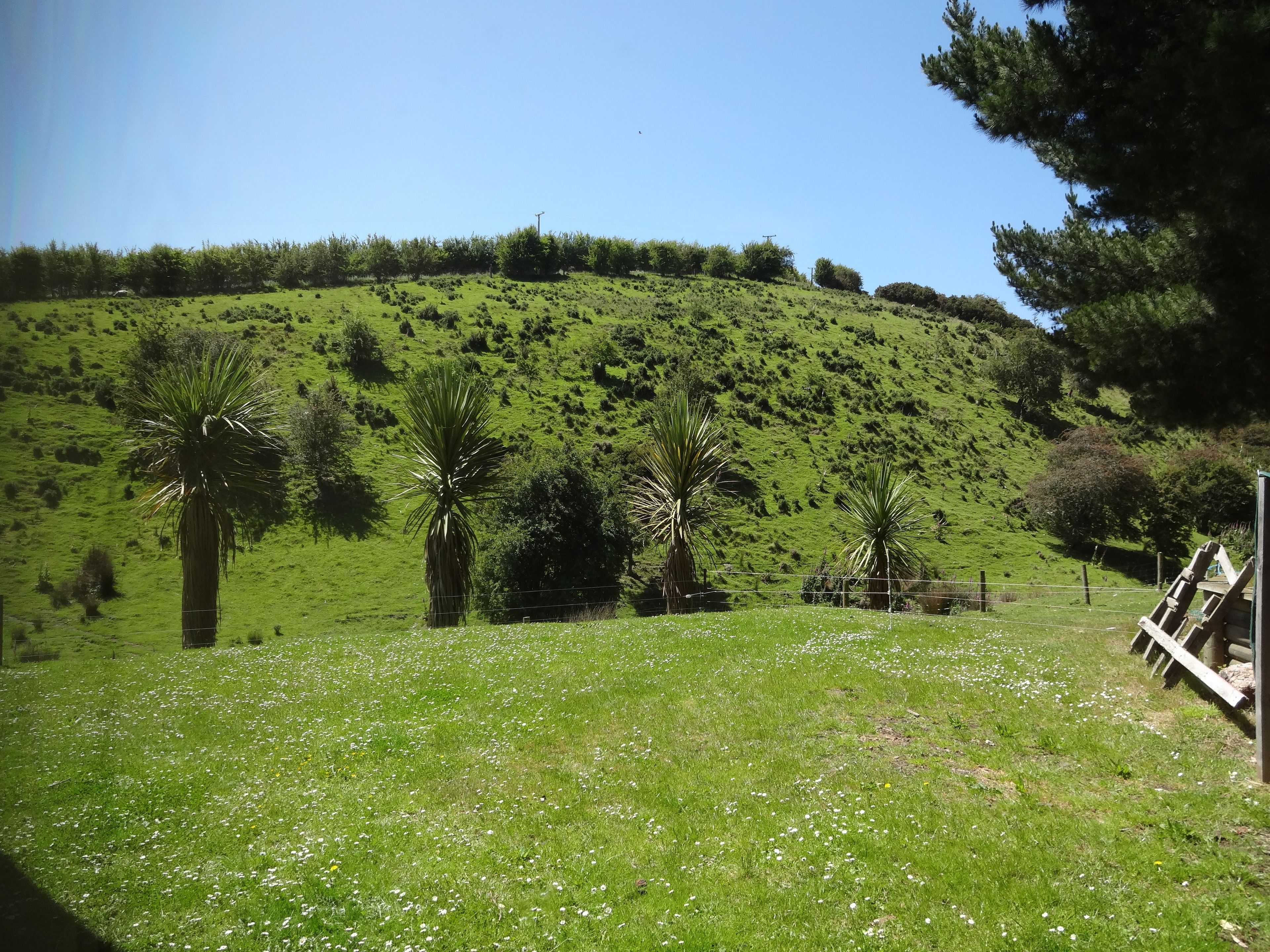 Een grasveld met een heuvel op de achtergrond, een houten omheining en enkele bomen.