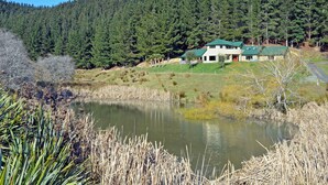 A house with a green roof, surrounded by a forested area and a pond. - Hunters Moon (Mosgiel)