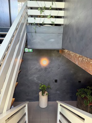 A modern interior with a staircase, a flat ceiling, and a small potted plant.