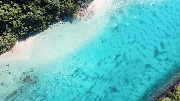 Une vue aérienne d’une plage aux eaux turquoise et limpides, bordée d’une végétation luxuriante d  ’un côté.