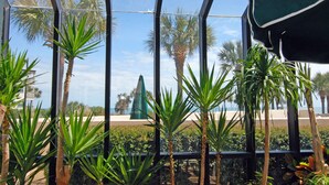 A view through a glass structure with palm trees and a building in the background.