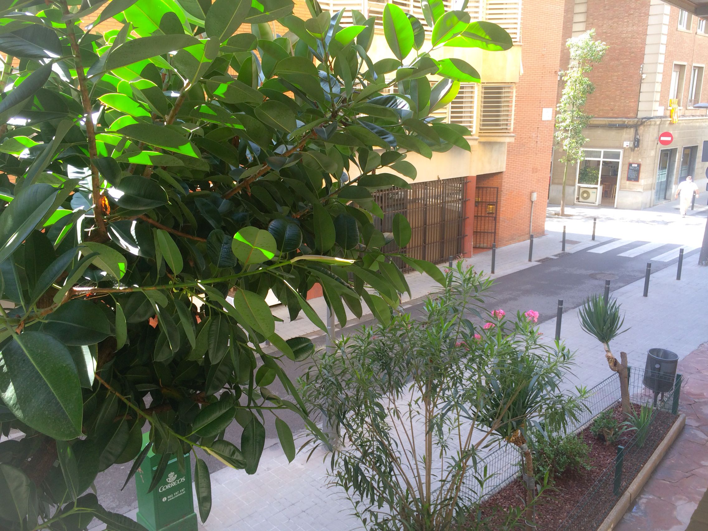 Foto - Barcelona City Street Hostal