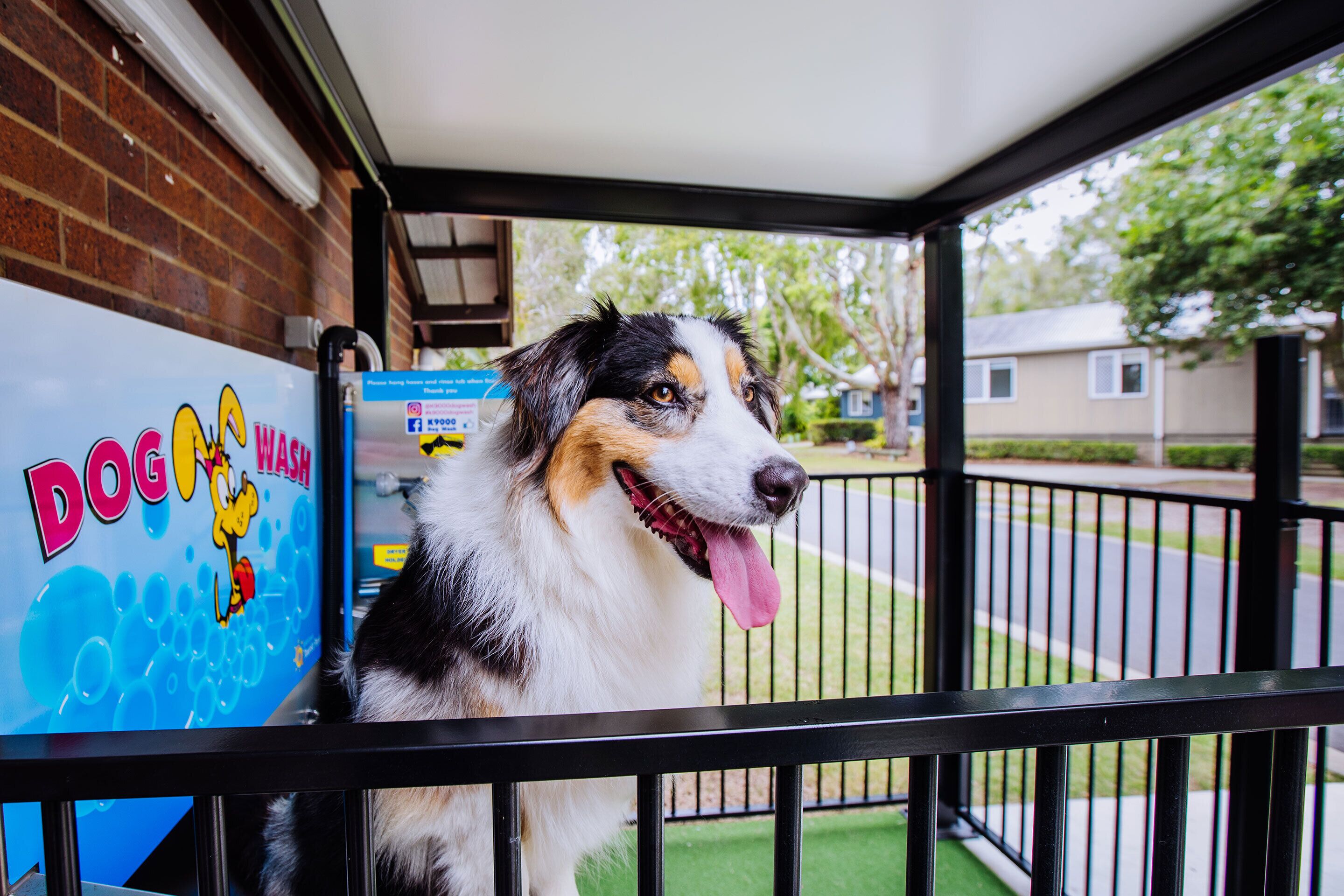 Pet-friendly