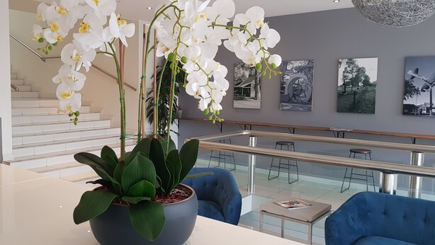 A modern interior with a potted orchid, a blue sofa, and a staircase.
