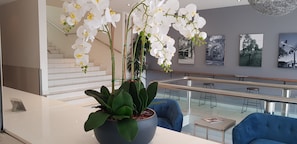 A modern interior with a potted orchid, a blue sofa, and a staircase. - The Grand Motel (Griffith)