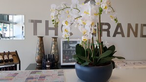 A room with a large orchid plant in a blue pot, a wine rack with bottles, and a refrigerator with wine bottles.