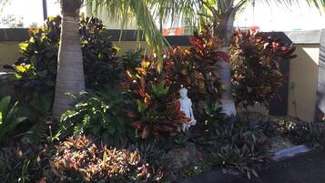A garden with various plants and a statue.