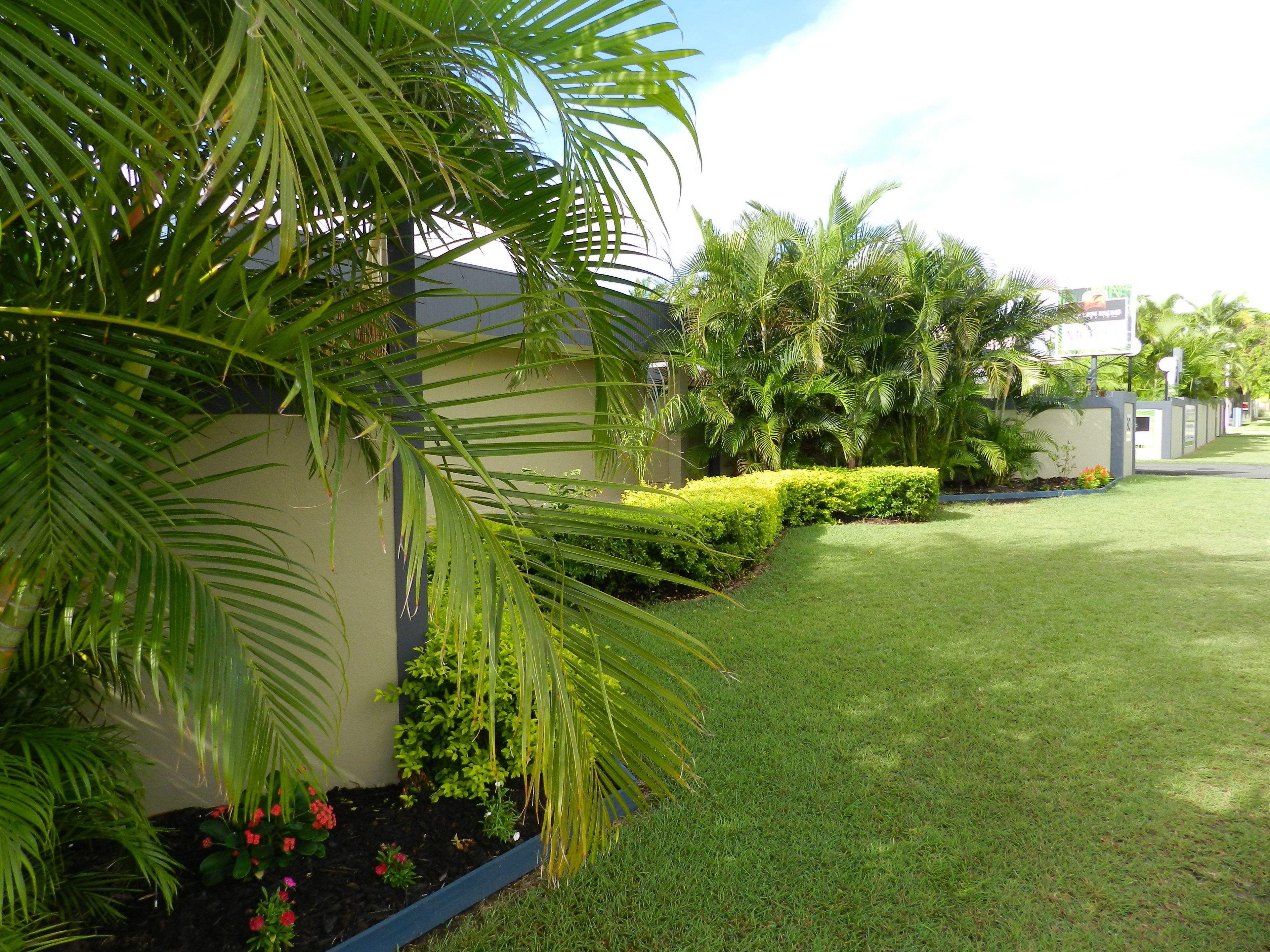A well-maintained garden with palm trees, neatly trimmed hedges, and a grassy lawn.