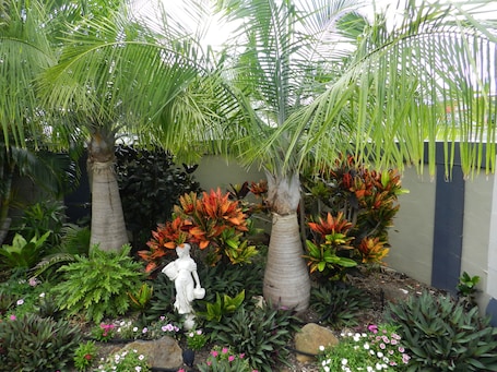 Garden. Golden Palms Motor Inn