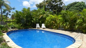 A swimming pool with a tiled edge, surrounded by lush greenery and two white lounge chairs. - Golden Palms Motor Inn (Bundaberg)