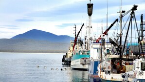 Un puerto con barcos amarrados, agua tranquila y una montaña al fondo.