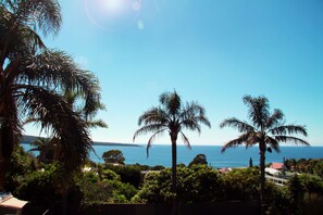 A coastal view with palm trees and a clear sky.