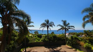 Vista de una zona residencial con palmeras, cielo azul despejado y una vista distante del océano.