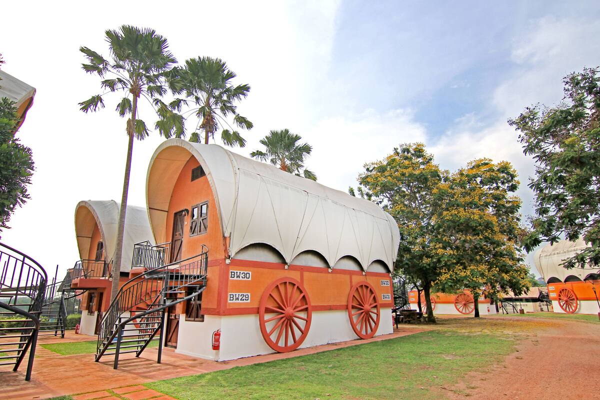 A unique building with a curved roof and large wheels, surrounded by palm trees and a grassy area.