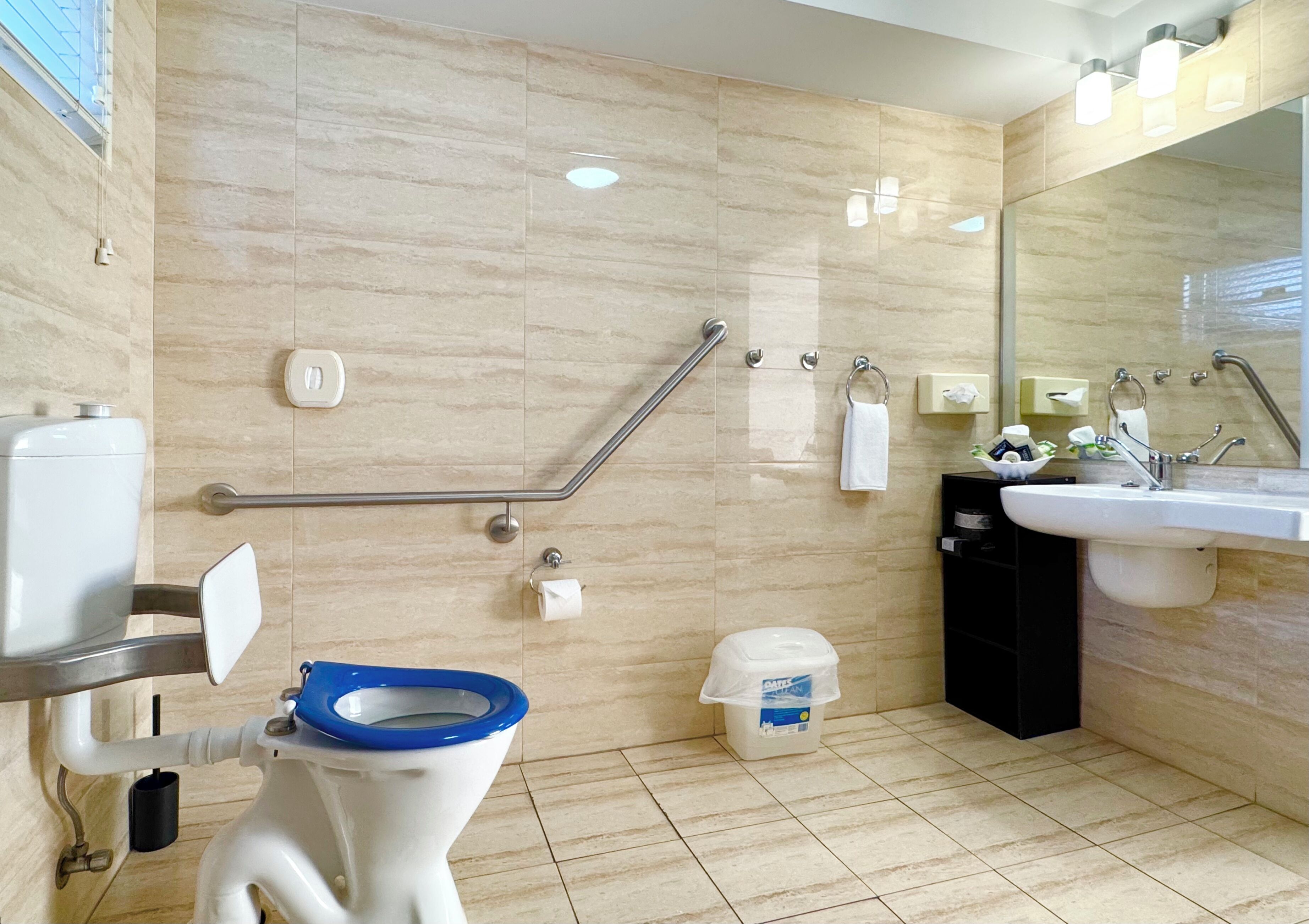 A bathroom with a toilet, handrails, a sink, and a mirror.