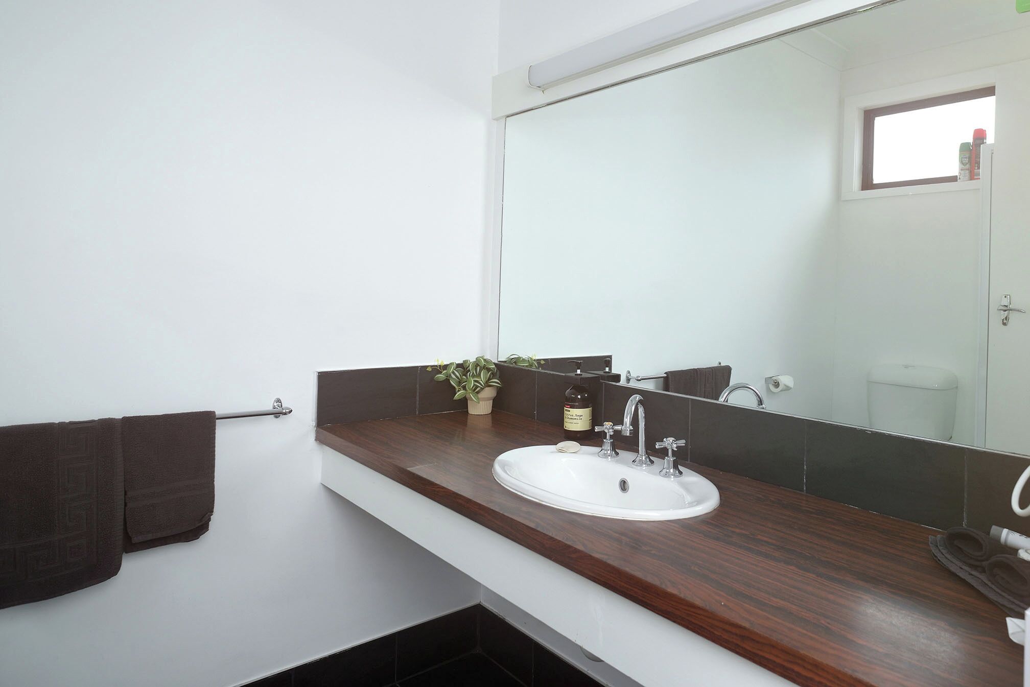 Un baño con lavamanos blanco, encimera de madera oscura, espejo, perchero y planta en maceta.