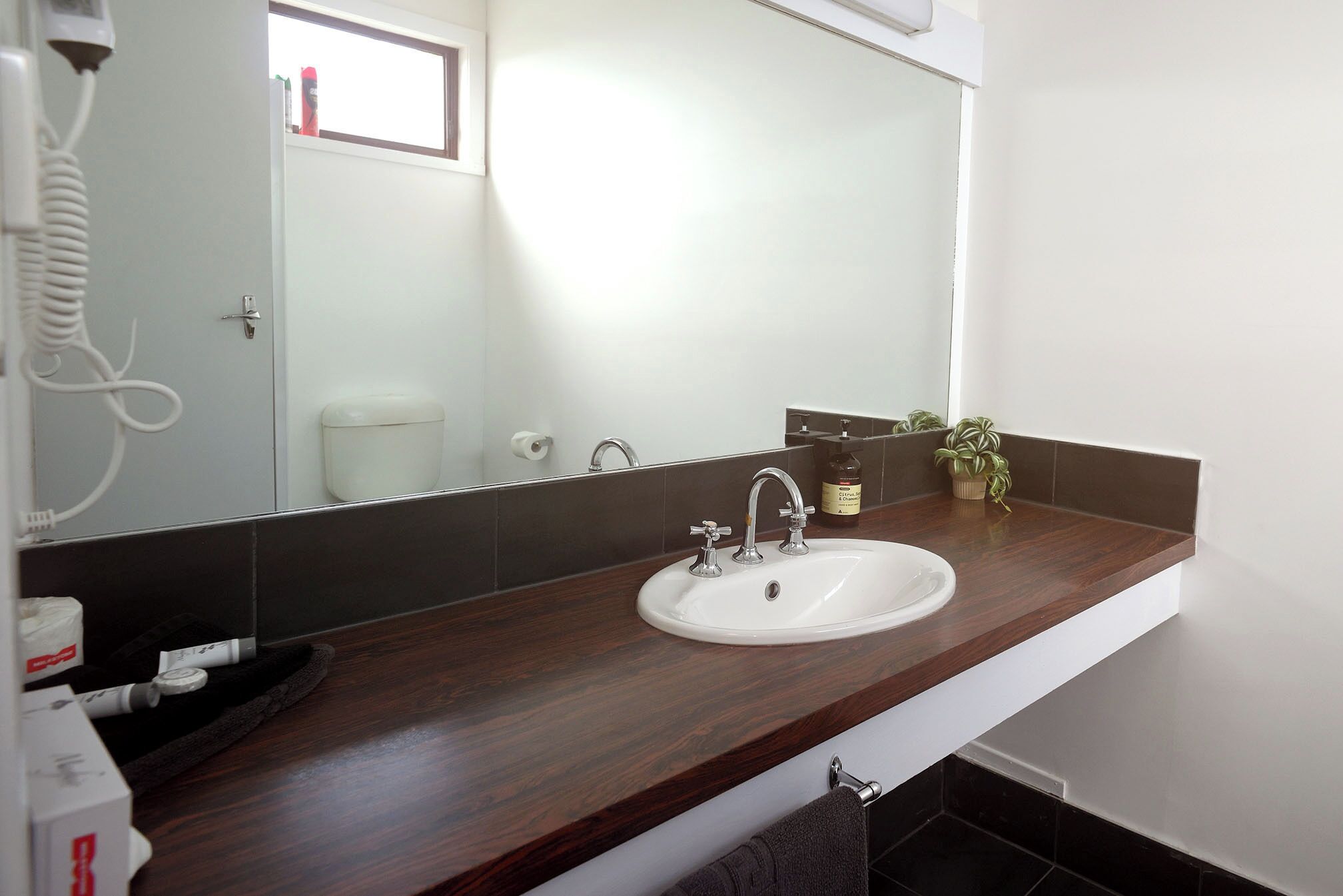A bathroom with a white sink, dark wooden countertop, a mirror, a towel rack, and a small potted plant.