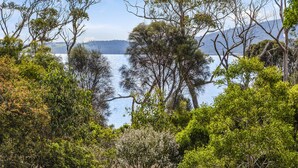 Un paysage naturel caractérisé par une végétation luxuriante et une étendue d’eau en arrière-plan.