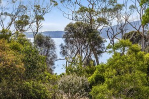A natural landscape with dense foliage and a body of water in the background. - Mandala Bruny Island (Alonnah)