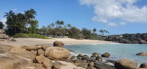 A beach with large rocks, palm trees, and a clear sky. - Horseshoe Bay Resort (Bowen)