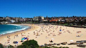 A beach with numerous umbrellas and people. - Royal Hotel Randwick (Randwick)