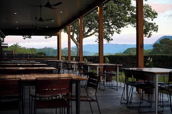 Dinner served, garden views