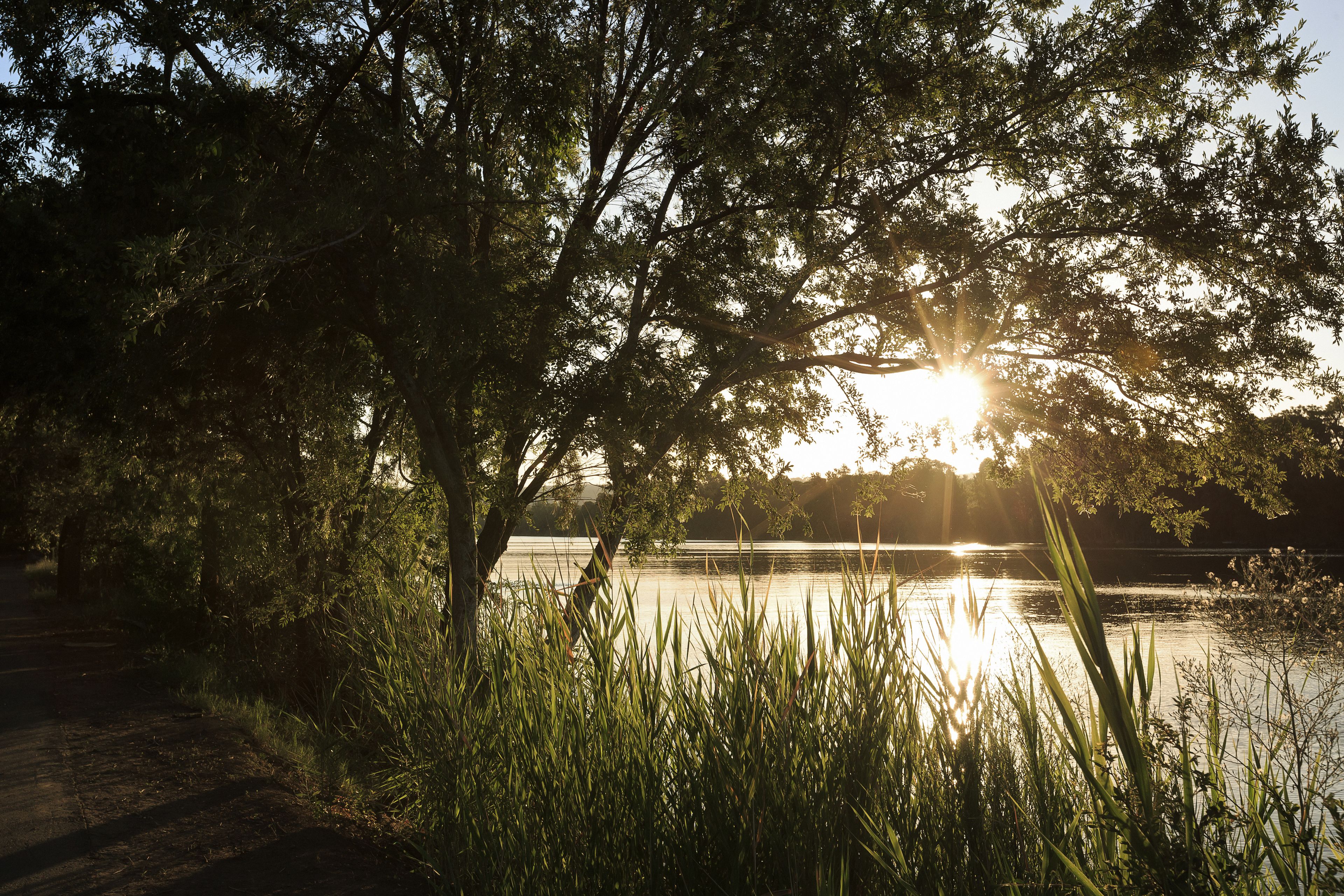 Foto - Ingenia Holidays Nepean River