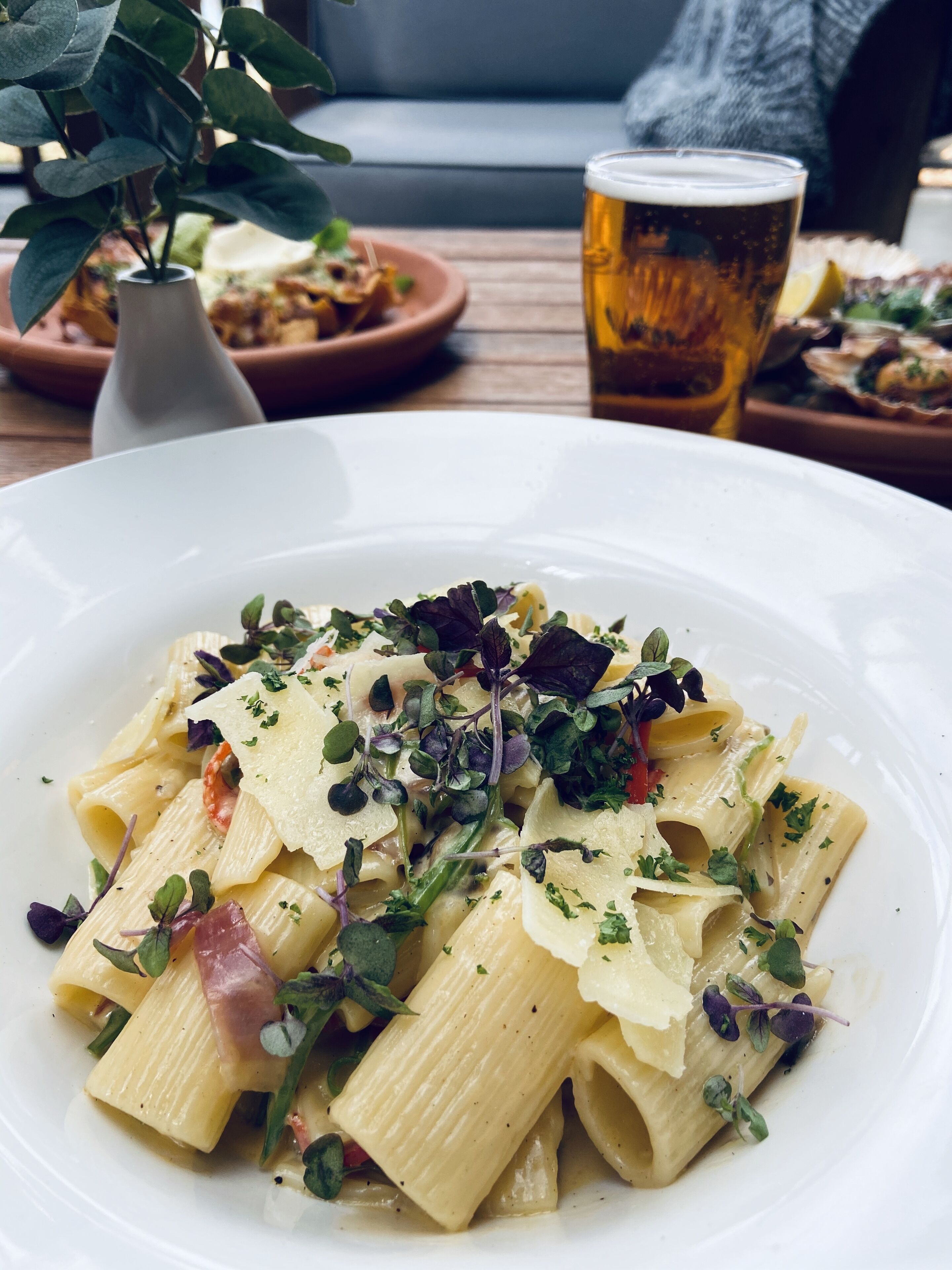 Un plato de pasta con verduras y queso, una jarra de cerveza y una planta de fondo.