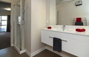 Shower, free toiletries, hair dryer, towels