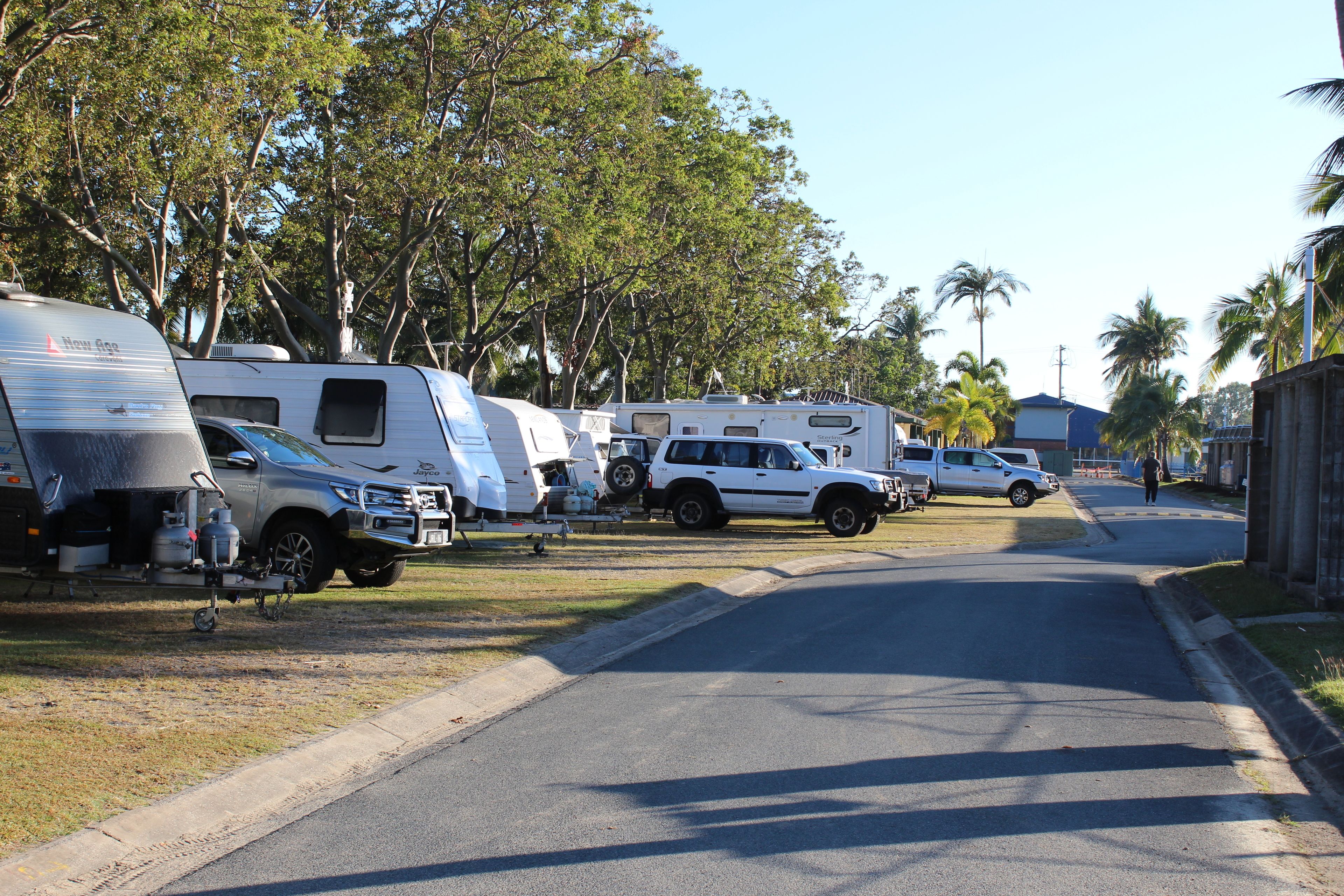 A street lined with RVs parked along the side, a clear sky, and palm trees in the background.