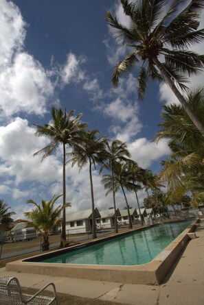 A swimming pool surrounded by palm trees and a clear sky. - Central Tourist Park (North Mackay)