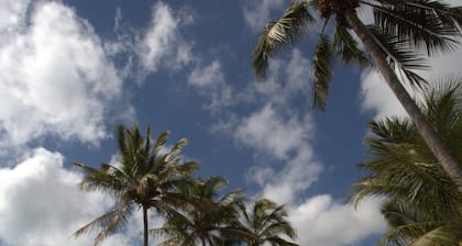 Central Tourist Park