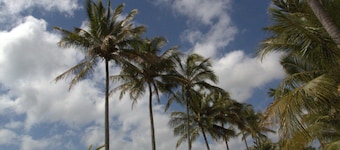 Central Tourist Park