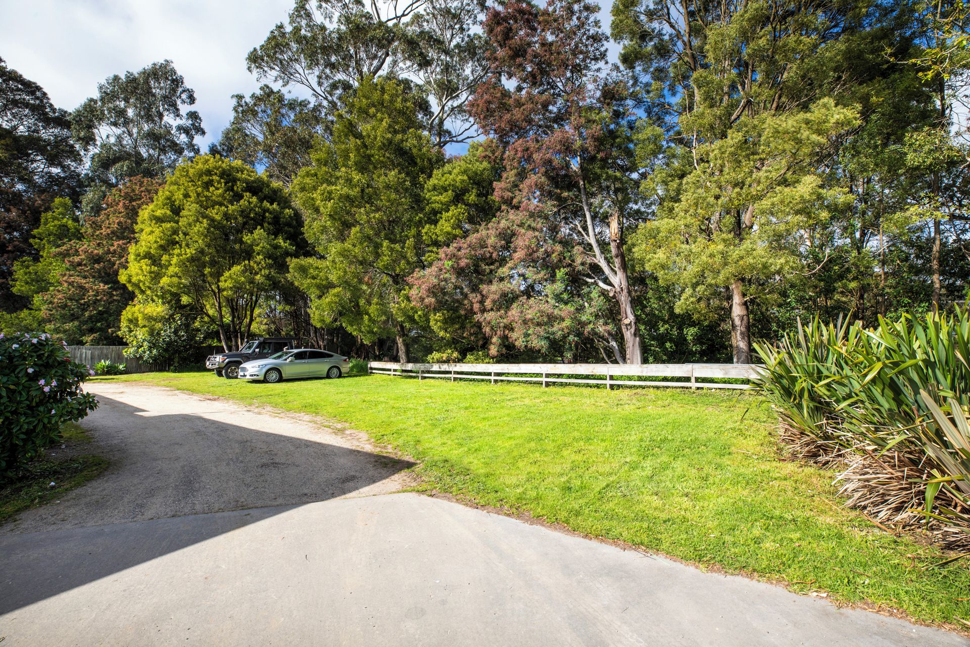 Un camino pavimentado que conduce a una zona verde con árboles y una cerca.