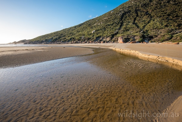 A beach with clear shallow water, a sandy shore, and a hillside with dense vegetation. - Wilsons Promontory Motel (Foster)