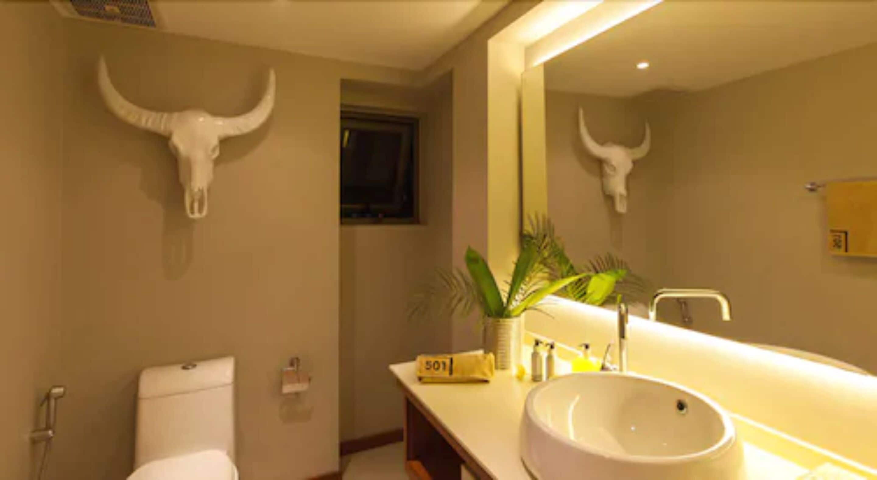 Foto - Petitenget 501