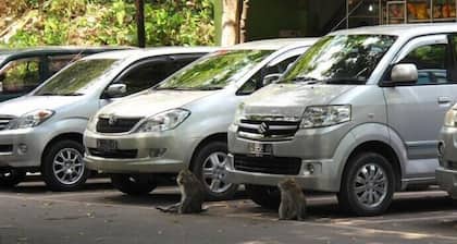 Kutuh Tirta Arum Guest House