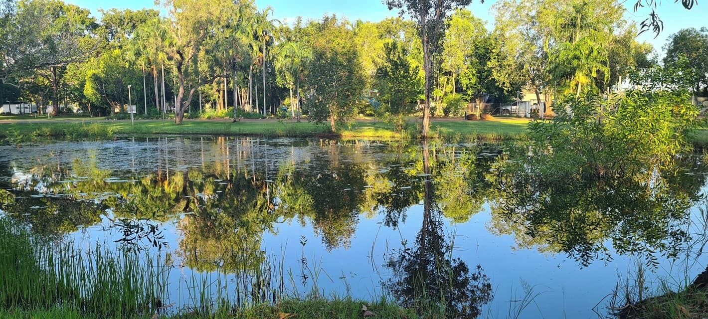 Um lago tranquilo rodeado por vegetação exuberante e árvores.
