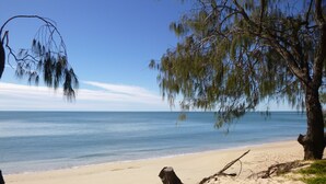 A beach with clear skies, calm water, and a tree with hanging branches. - Woodgate Beach Houses (Woodgate)