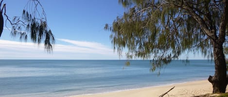 Vista da propriedade