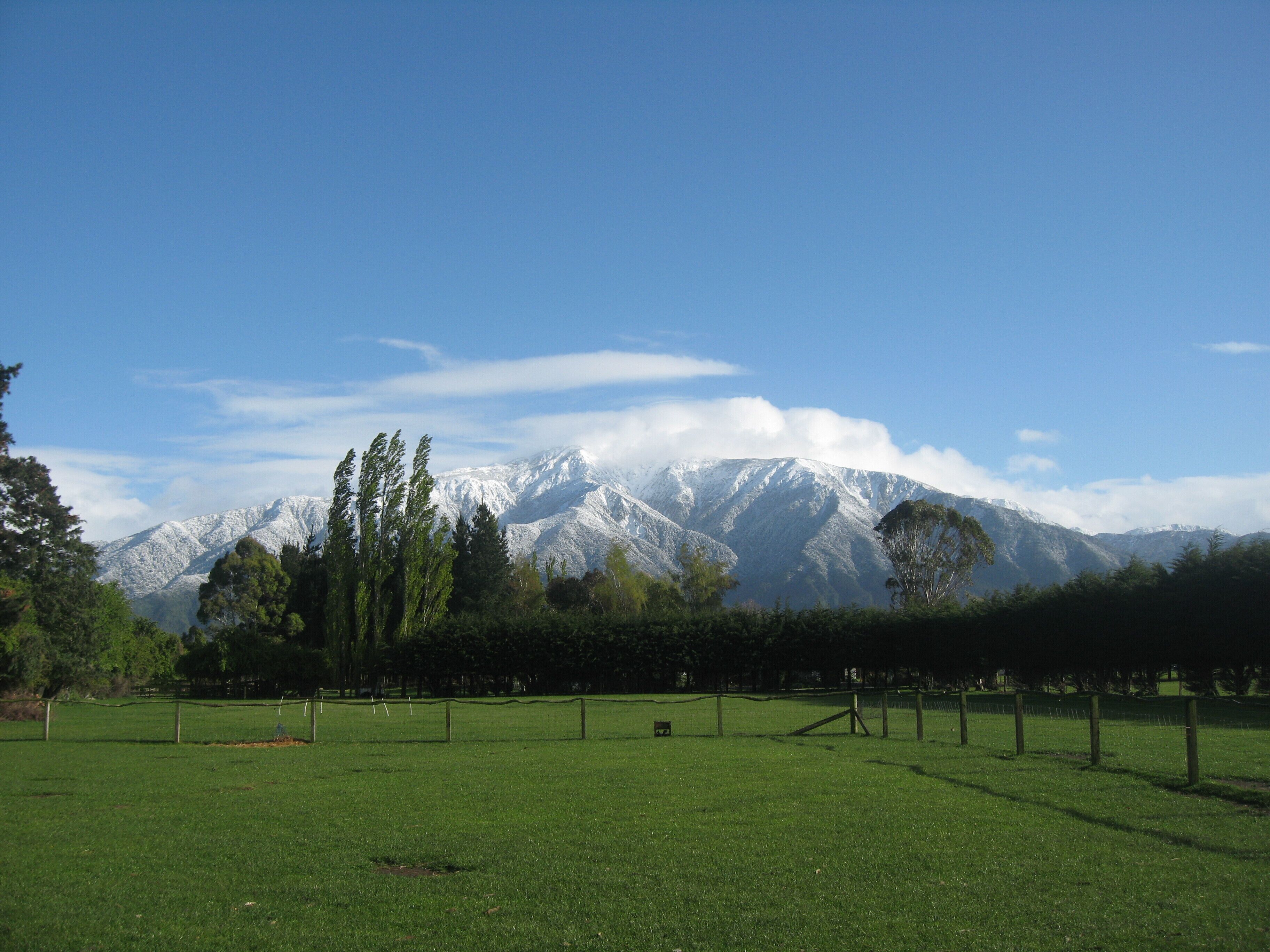 A grassy field with a mountain range in the background.