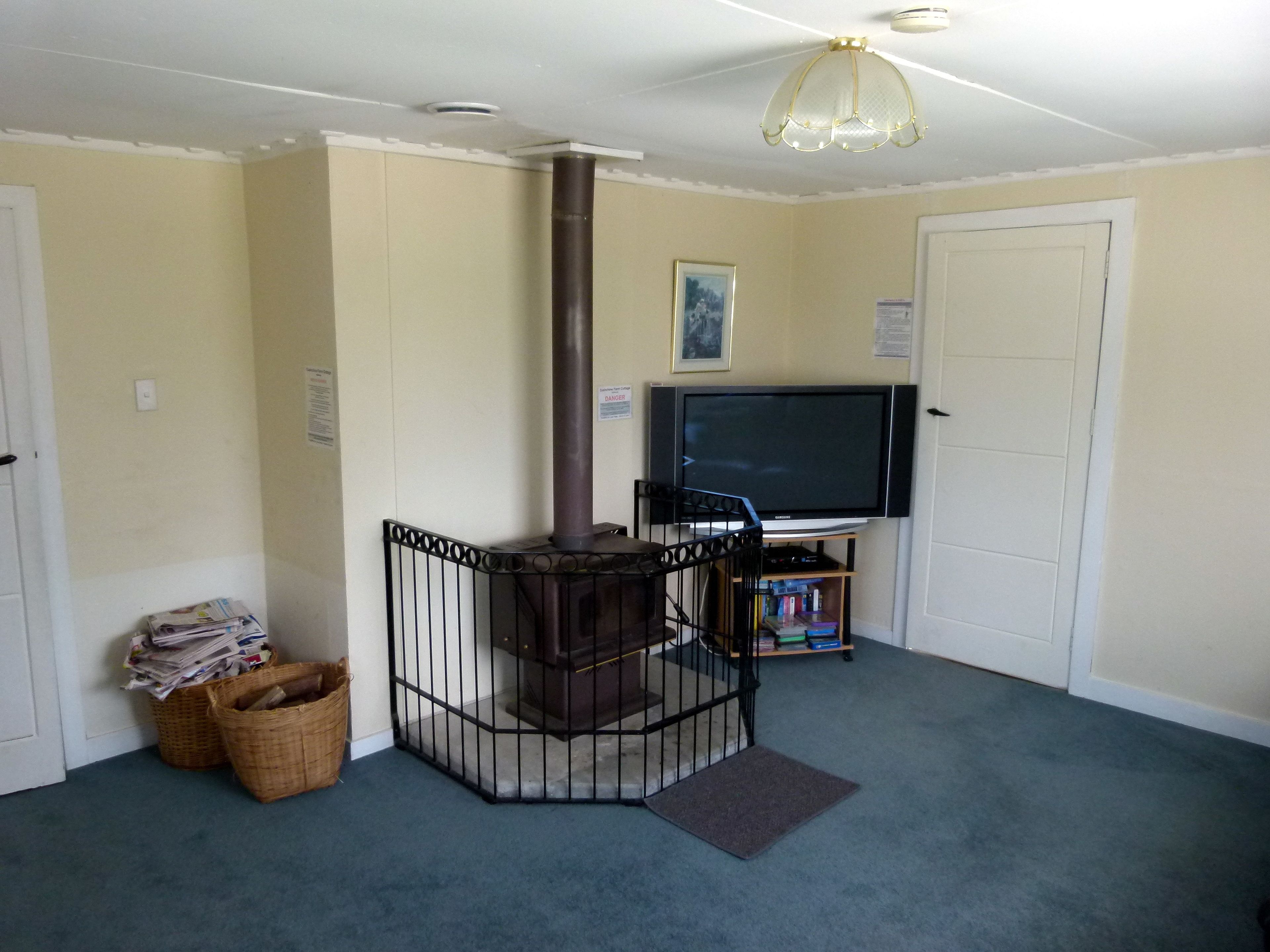A living room with a fireplace, a television, and a bookshelf.