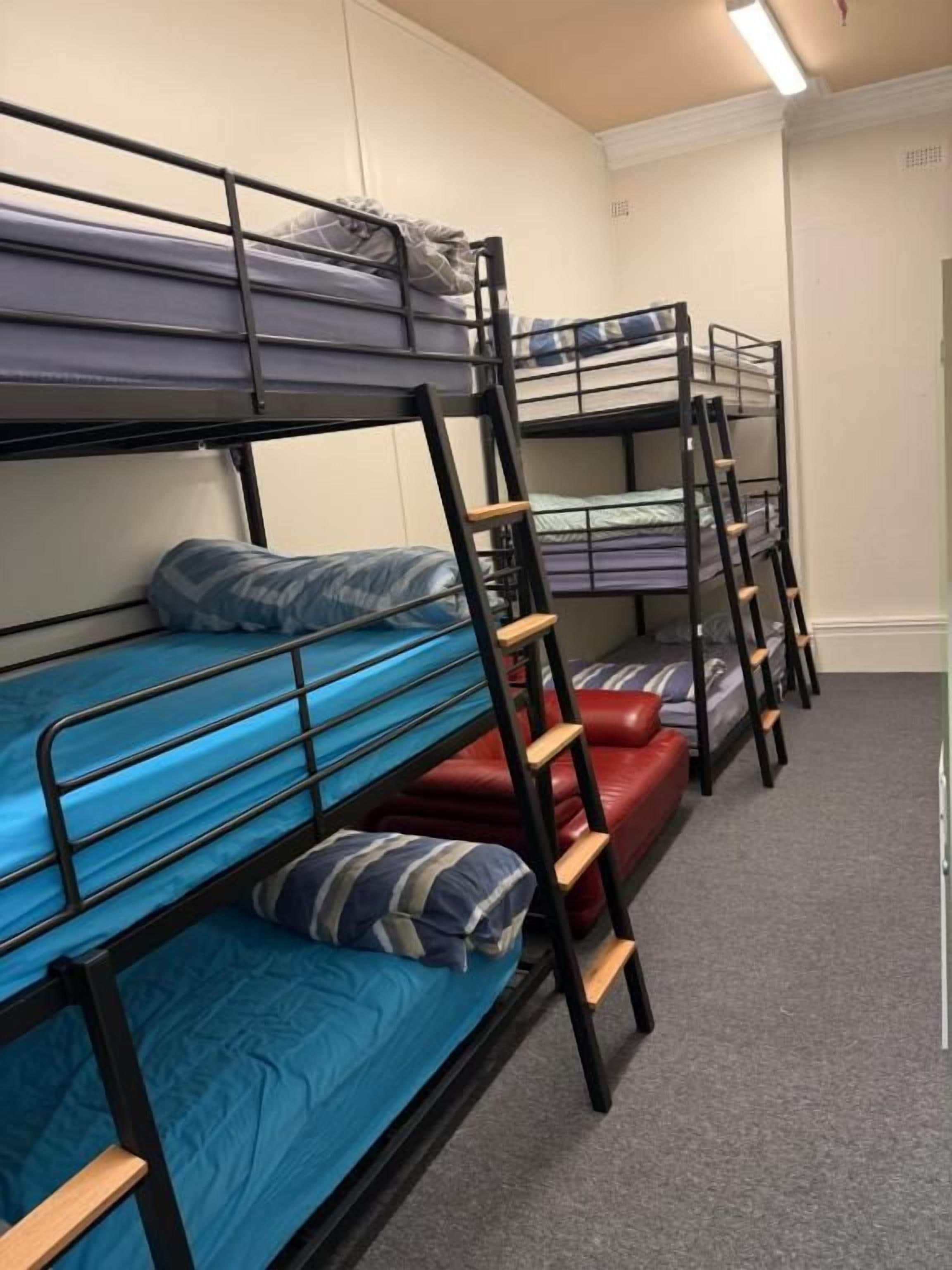 A dormitory room with bunk beds, a carpeted floor, and a door.