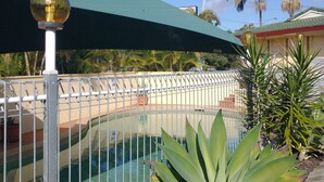 A swimming pool with a metal fence, surrounded by tropical plants and a green canopy. - Aspley Sunset Motel (Aspley)