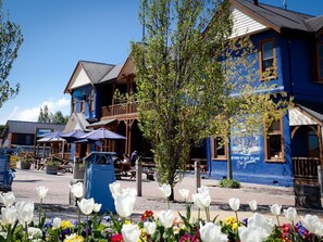 Property grounds - The Blue Pub (Methven)
