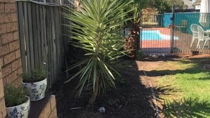 Un jardin avec un palmier, une petite piscine et des plantes en pot.